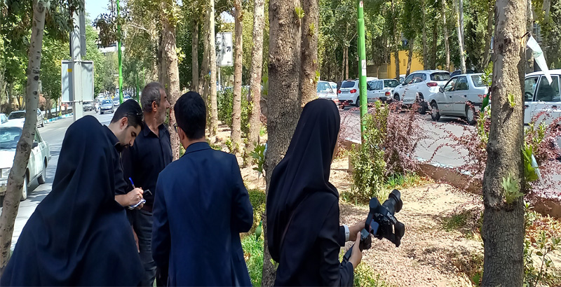 درون درمانی درختان خیابان مشتاق اصفهان دوم - فرکشت