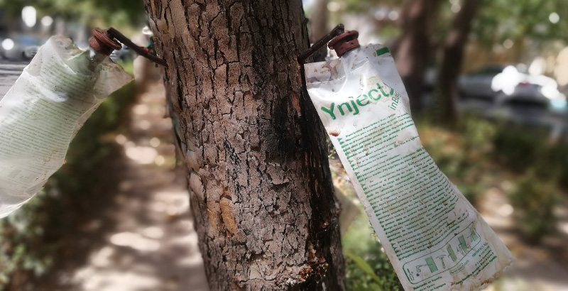 درون درمانی  درختان دچار زوال- فرکشت