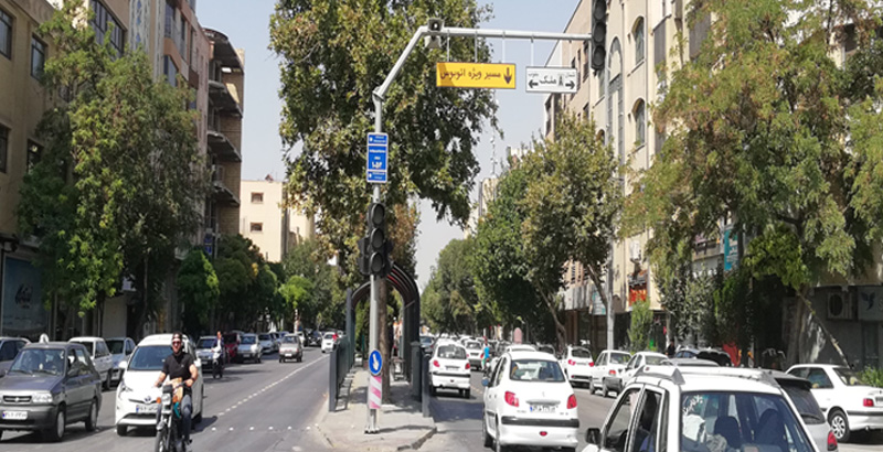 درون درمانی درختان دچار زوال در خیابان هشت بهشت غربی- فرکشت