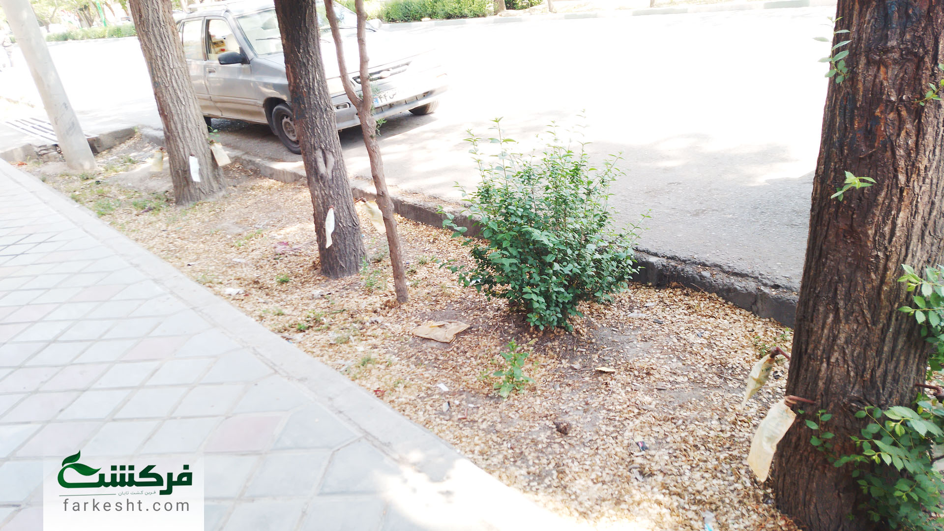 تزریق کپسول‌های درون درمانی در خمینی شهر-1403