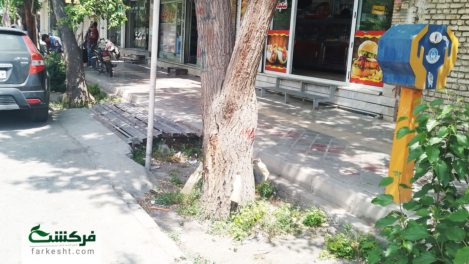 درون درمانی درختان خمینی شهر در مهرماه 1403