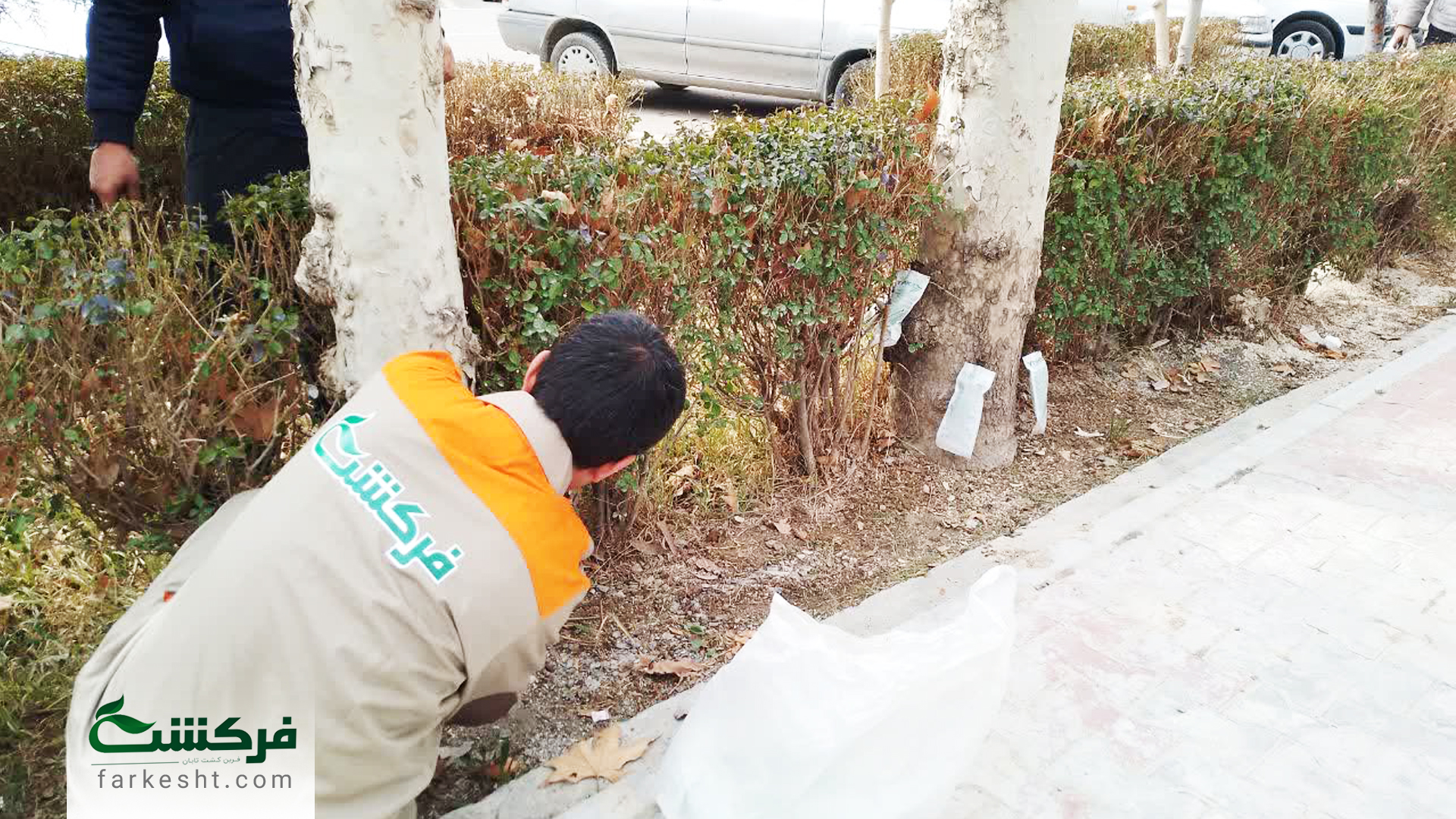 درون درمانی درختان خمینی شهر در مهرماه 1403