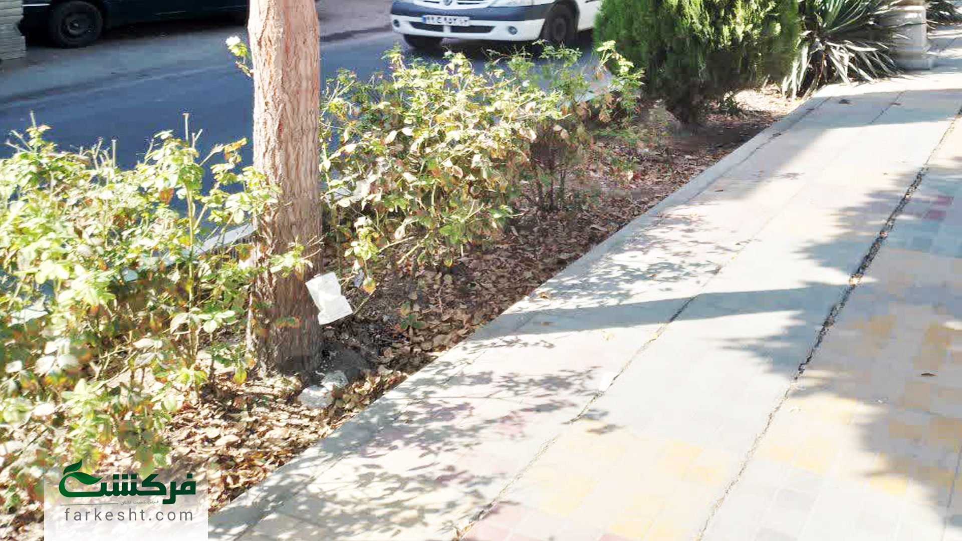 مبارزه با آفات پوستخوار در شاهین شهر