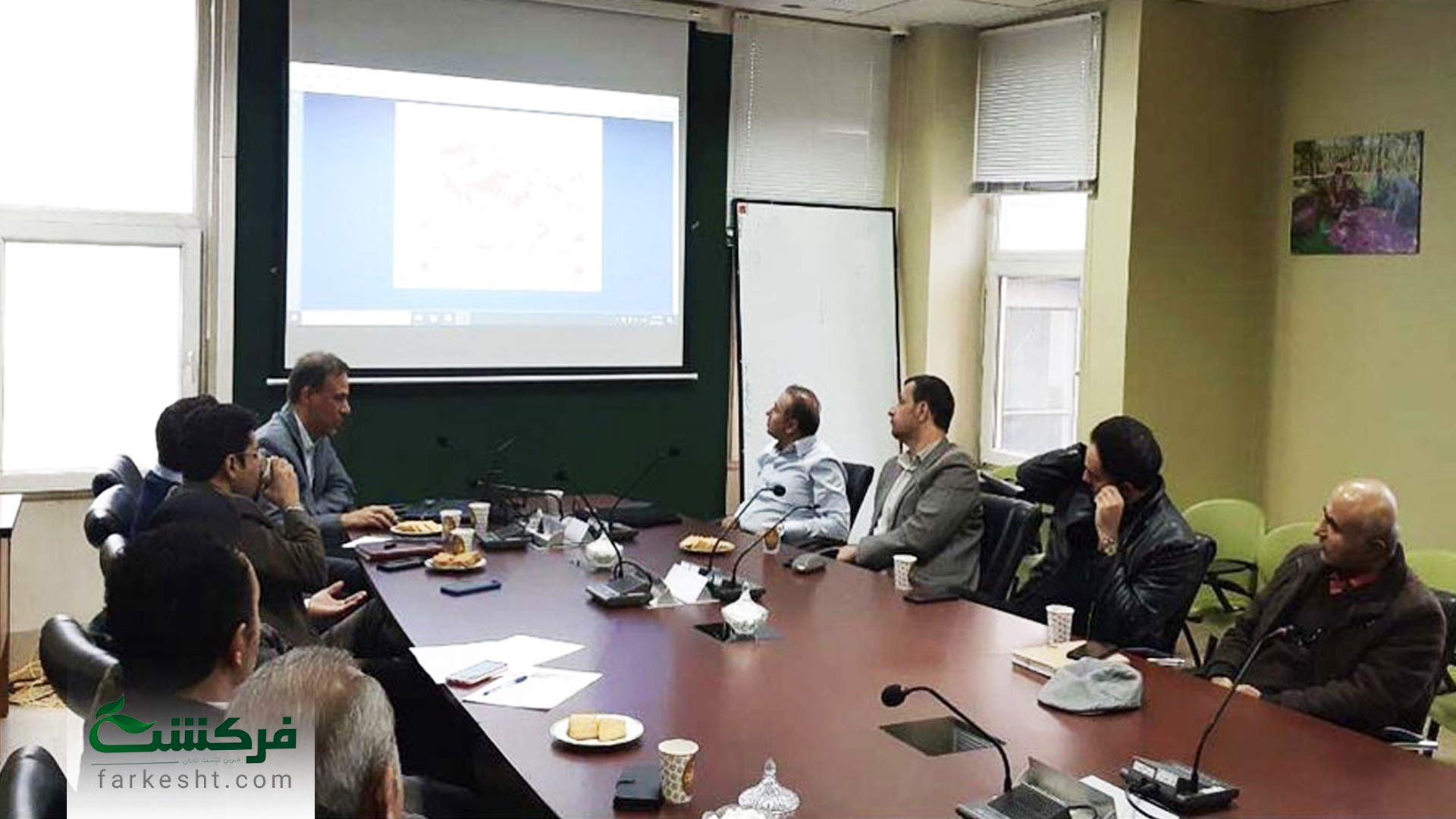 درختان چنار شهر کرج 