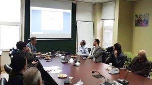 درختان چنار شهر کرج