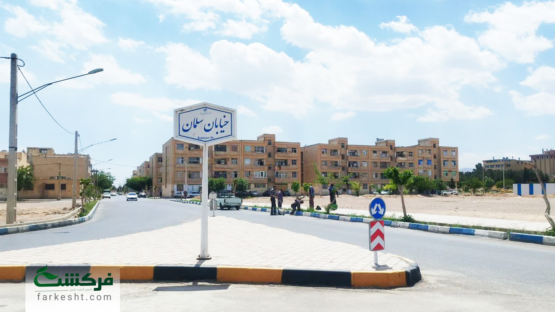 احیاء درختان