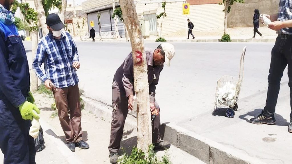 احیاء درختان