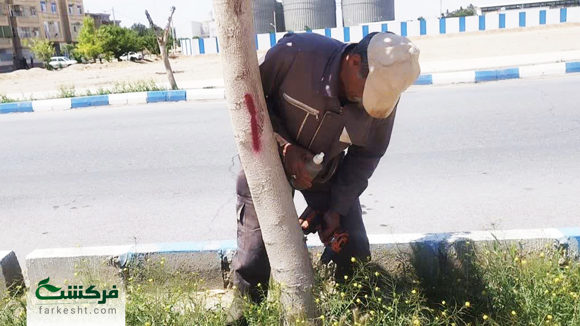 احیاء درختان