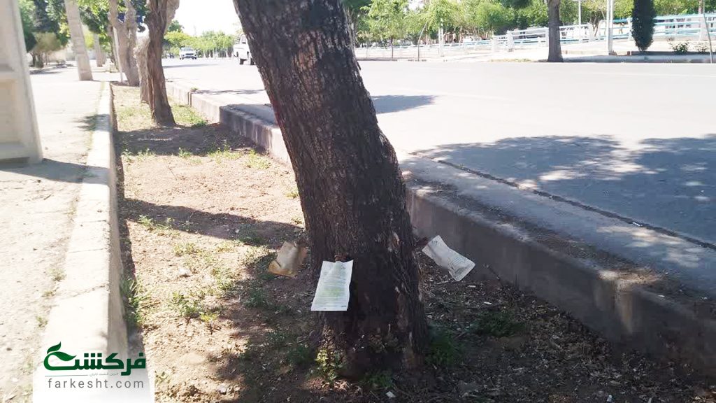 احیاء درختان