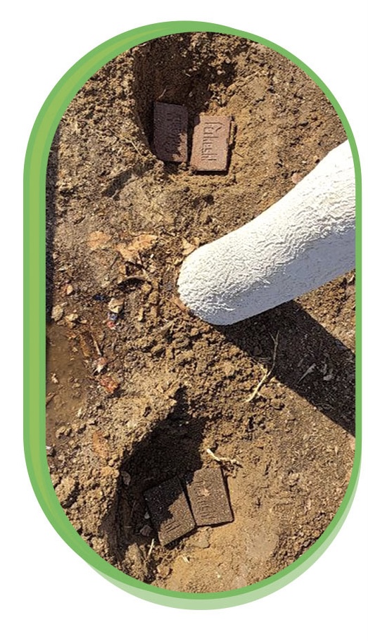 چالکود، تغذیه بهتر درختان